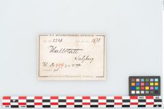 Etikett zu Keramikgefäß (NHMW-PRAE-002248)
